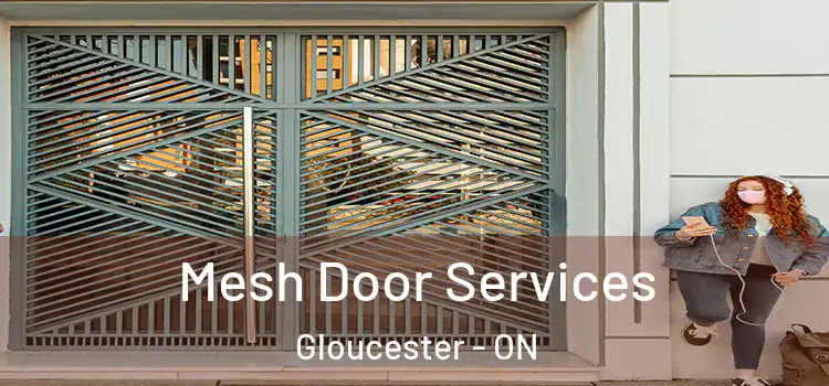 Mesh Door Services Gloucester - ON