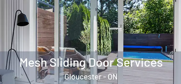 Mesh Sliding Door Services Gloucester - ON